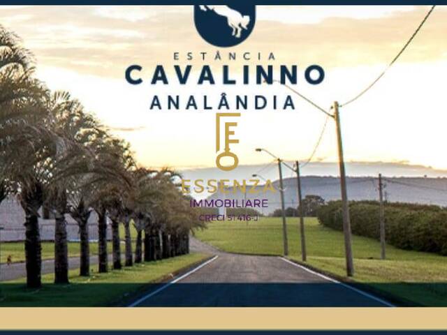 #24 - Área para Venda em Analândia - SP - 2